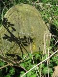 image of grave number 499919